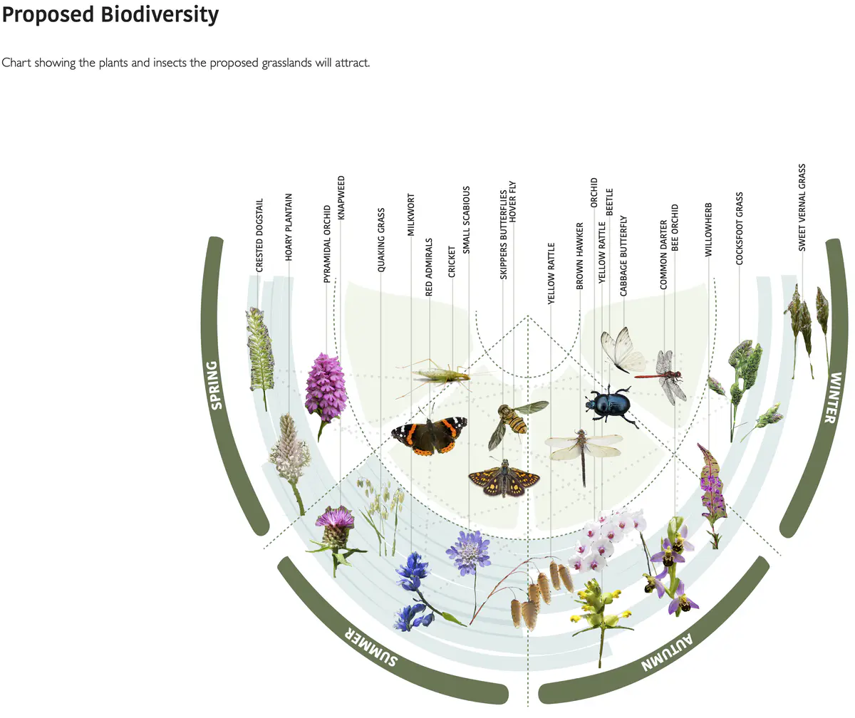 Creating a stronger connecting between the current food spaces by:
- Pedestrianising the road with a grassland
- Utilising abandoned building for education centres and community farming.

Linked to the Food Hub is an education centre sharing information on edible insects and Dudley’s biodiversity. Also offers insect cooking lessons to the local community and schools.

Immersed within the grassland is areas where existing buildings can extend out onto the street to create a stronger bond with new sustainable environment.

Redesigning the Market Place with more levels of outdoor seating to create a new experience and environment of eating food on the High Street.

Gardening and insect farming spaces integrated within the buildings. By bringing all the food production onto the High Street will help reduce food waste and also offer fresh produce to the locals. - Sita Patel Food Hub 2.png